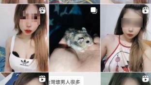 殘忍！女子將10隻小倉鼠，丟馬桶直接沖掉，虐待動度，PO網炫耀（圖／翻攝自Thread @taifang0516）)