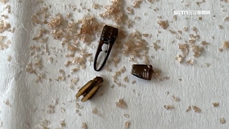 寶寶米餅驚見「蟲蟲危機」 媽憂1歲孩誤食