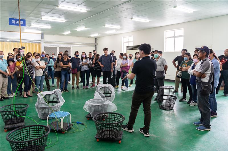 高品質鳳梨釋迦再獲新增出口註冊農戶名額及面積，外銷量能持續升級。（圖／臺東縣政府提供）