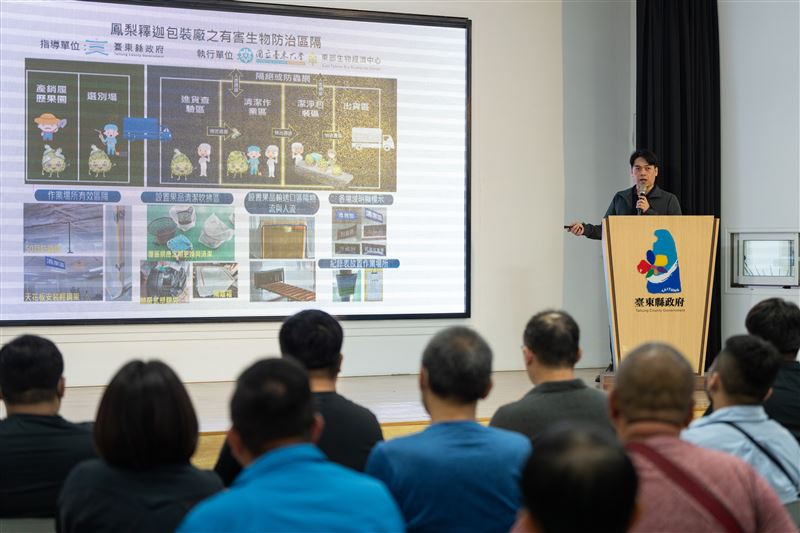 高品質鳳梨釋迦再獲新增出口註冊農戶名額及面積，外銷量能持續升級。（圖／臺東縣政府提供）