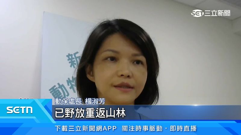 動保處長出面說明