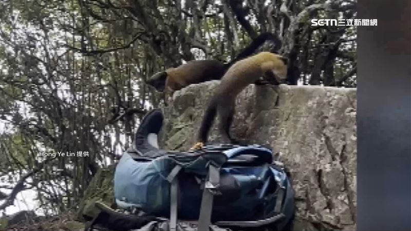 獨／攀玉山輕裝登頂　包放碎石坡食被偷光