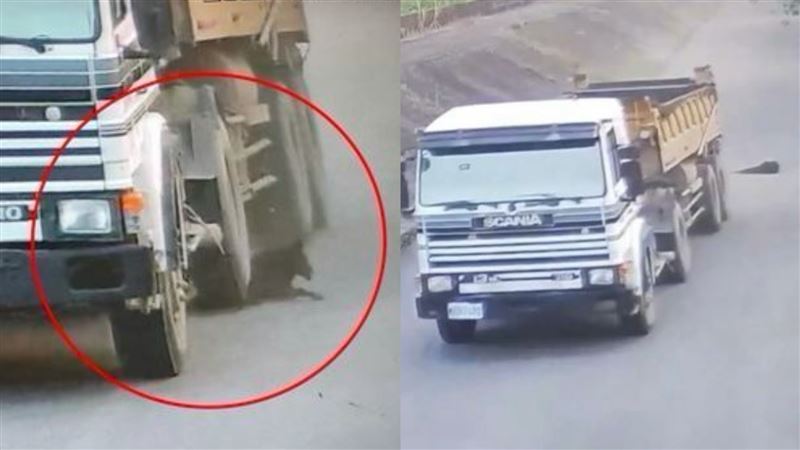 砂石車狠輾害黑狗露臟器慘死！運將下場曝