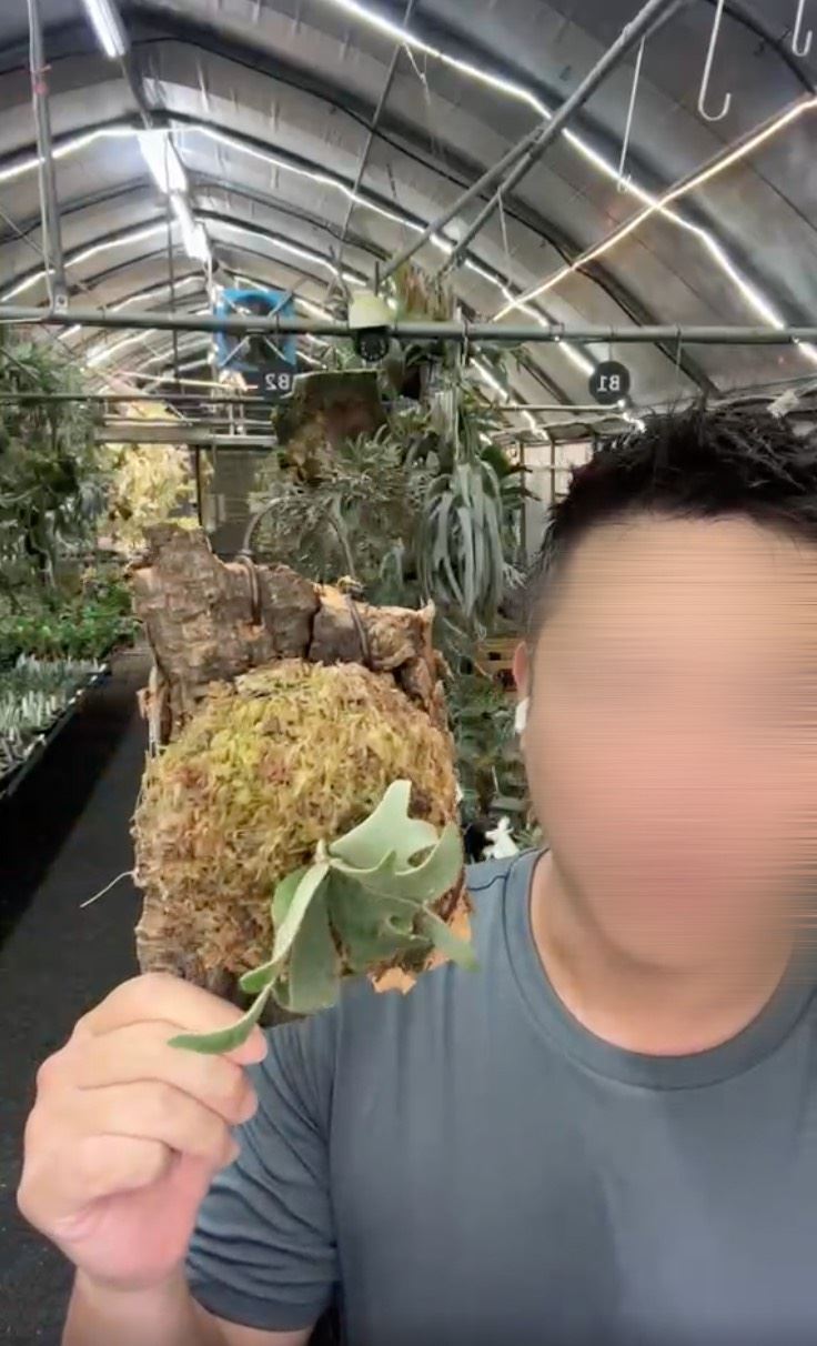 植栽店老闆外型陽光帥氣，對於女客人瘋狂愛慕追求，不堪其擾決定提告，判決出爐。（圖／翻攝店家臉書）