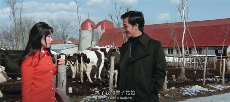 中華民國國旗飄揚日本！55年前台灣老電影《萬博追蹤》轟動日本。20歲翁倩玉美麗清秀靈動爆表。（圖／翻攝自《萬博追踪》、國家影視聽中心提供）