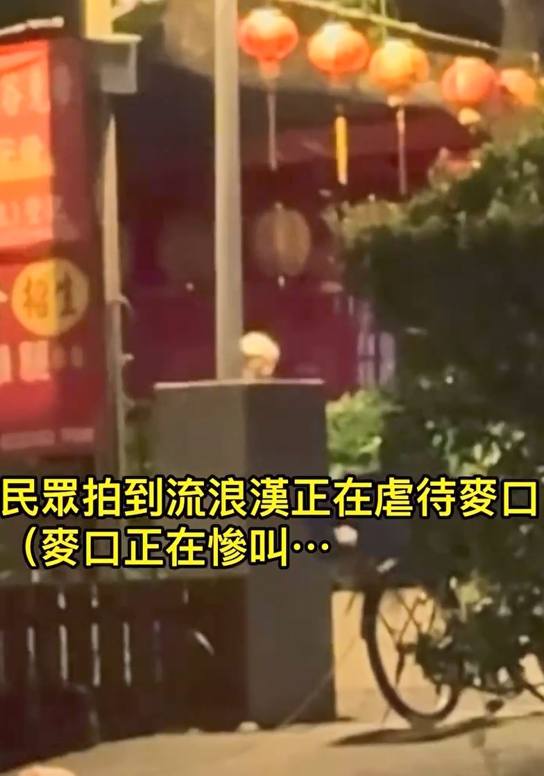 胡男把黑狗吊起來虐打。（圖／翻攝畫面）