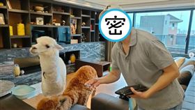 昔日中視一哥姜厚任，日前在70歲壽宴驚現「筷子戳頸」絕活。（翻攝自instagram@jiang_hou_ren）