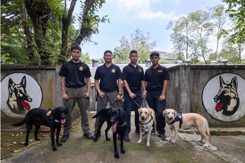 國軍中最萌戰力K9軍犬分隊。（圖／文化總會提供）