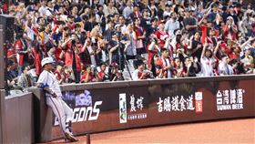 林智勝引退系列賽將從5日在台北大巨蛋展開。（圖／味全龍球團提供）