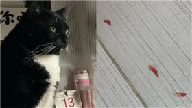 圖片描述。（圖／翻攝自微博）