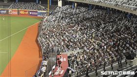 樂天桃猿票房開出9329人進場，中職史上第4場大巨蛋主場沒破萬人。（圖／記者黃耿誼攝影）