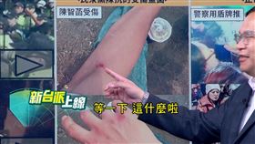 對於民眾黨控訴賴政府獨裁，李正皓嘲諷小草是「民主富二代」，沒看過真正的陳抗。（圖／翻攝新台派上線）