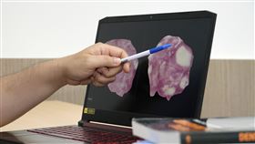 軟糖實驗中，咀嚼能力佳的受試者可以將雙色軟糖咀嚼得較均勻。（圖／陽明交大提供）