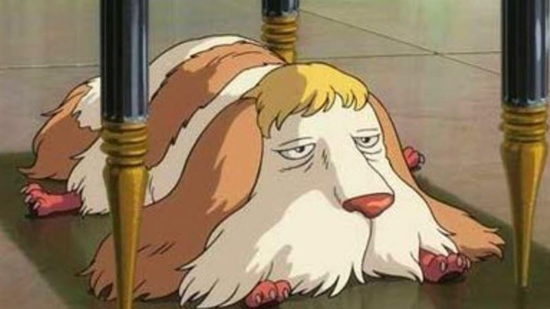 他形容台灣男星像霍爾的狗　釣出本尊回應