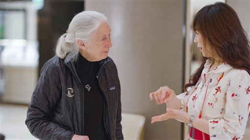 導演白心儀（右）與保育界傳奇人物珍古德博士互動。（圖／三立提供）