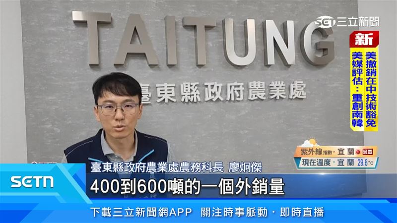 台東縣政府農業處農務科長表示，預計今年可再增加400到600噸的外銷量