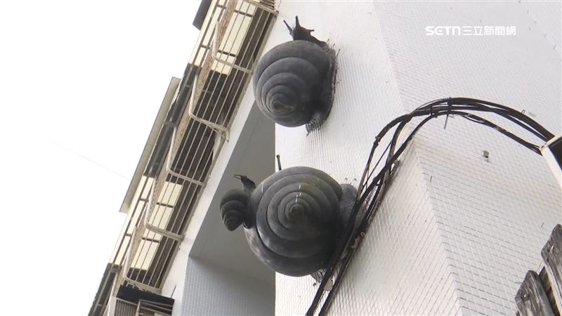 大安區民宅牆現「巨型蝸牛」　專家：安居