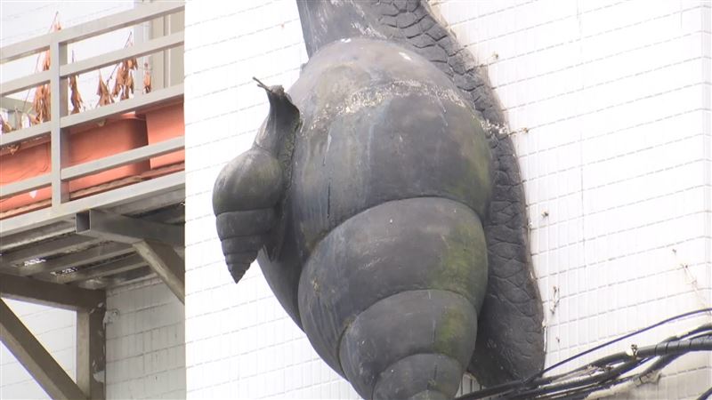 「蝸牛」有安居樂業的象徵意涵