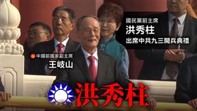 國民黨前主席洪秀柱出席中共九三閱兵，與王岐山同框畫面曝光。（圖／翻攝自民進黨臉書）