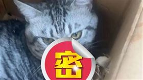 圖片描述。（圖／翻攝自微博）