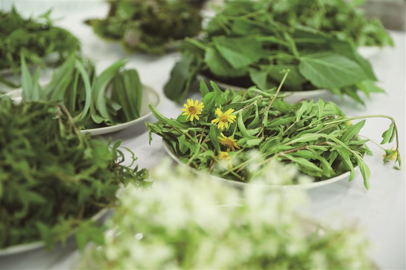 走進一畝田香草莊園，除了認識不同香草的功效，還能製作艾草槌棒，用來敲打肌肉與穴道，讓疲憊的身心獲得舒緩