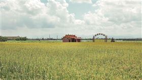 走進農村旅遊亮點　夏遊下營．東山 與土地交陪深情（業配勿用）