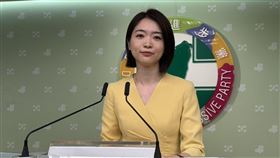 民進黨發言人韓瑩。（圖／記者劉秀敏攝影）