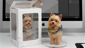 Nano banana公仔實測｜ 三立記者實測　生成公仔照最快5秒最慢50秒（圖／翻攝自Google Germini） 