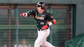 台鋼雄鷹捕手張肇元。（圖／台鋼雄鷹提供） 