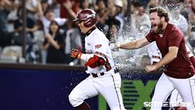 中職36年例行賽，樂天桃猿指地打擊林泓育敲出再見安打。（圖／記者劉彥池攝影）