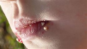 口腔,偷吃,嘴巴,刷牙。（示意圖／PIXABAY）