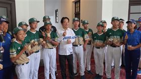 賴清德接見3支冠軍棒球隊。（圖／總統府提供）
