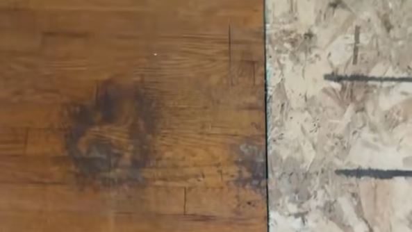 地毯下竟留前屋主最後印記！掀開見黑手印