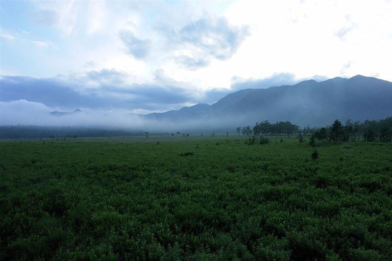 日本栃木縣擁有不少山川美景。圖為當地知名景點「戰場之原」，其海拔約1400公尺。（圖／翻攝自維基百科）