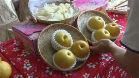 ▲白露吃水梨有助於潤肺。（圖／三立新聞網）