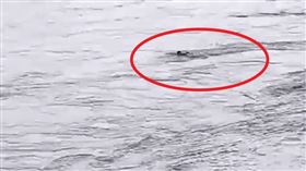 印度一名少年與友人打賭500盧比（約台幣170元）游泳橫渡大河，最後卻被激流沖走，至今下落不明，當地搜救人員推測少年恐已溺水身亡。