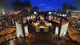 福井縣為日本恐龍化石出土最多的地方，當地的恐龍博物館是全球三大恐龍博物館之一。（圖／翻攝自福井縣官網）