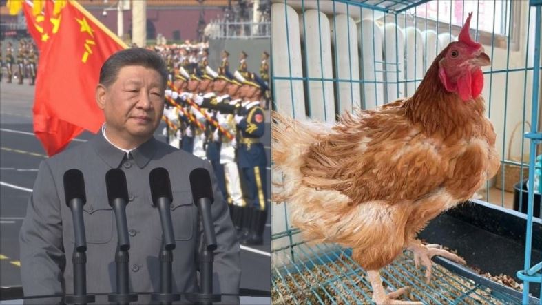 中國閱兵「母雞打鳴」　專家解密不吉異相