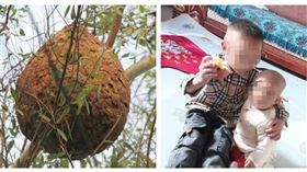 雲南牟定縣山林間傳出蜂群攻擊意外，兩名年幼兄妹不幸身亡。（圖／紅星新聞，下同）