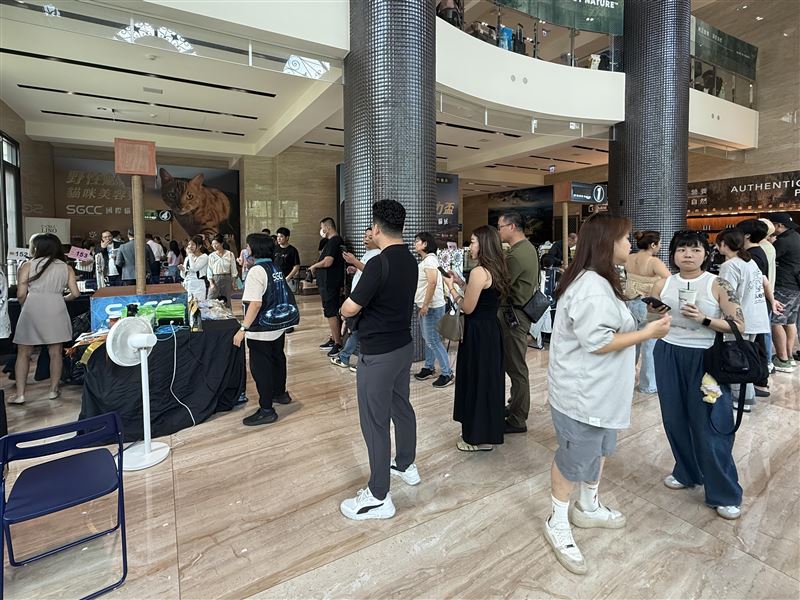 展覽一開幕吸引許多貓奴們前往。（圖／翻攝畫面）