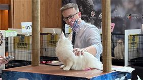 貓展,高雄,品種