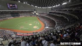 林智勝引退系列賽最終戰，臺北大巨蛋再度湧進滿場4萬人。（圖／記者劉彥池攝影）