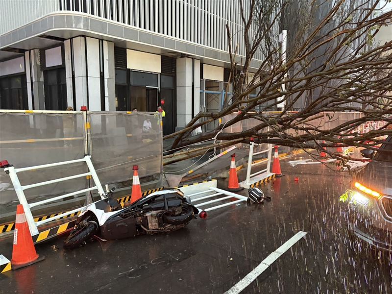 路樹倒塌，造成一輛轎車被壓、一名機車騎士自摔受傷。（圖／翻攝畫面）