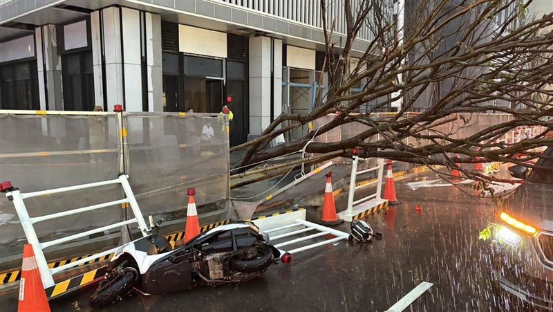 新／大豪雨炸台中!樹倒塌車被壓 騎士摔傷