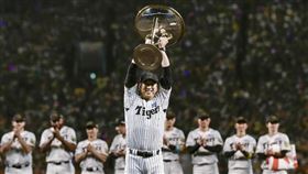 日本職棒中央聯盟龍頭阪神虎7日在例行賽封王。（共同社）