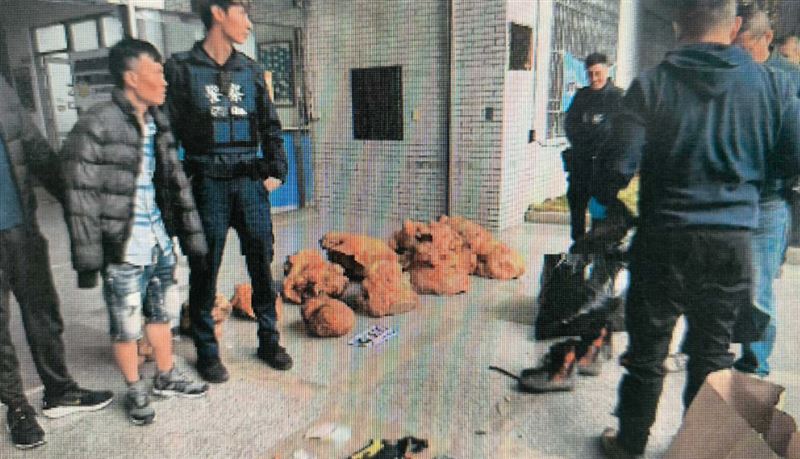 越籍移工藏深山盜木　台灣森林爆恐怖浩劫