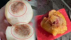 農業部,日本,高雄,水蜜桃,水果,品質,左營區,圖片描述。（圖／翻攝自Thread @papalin5400）