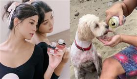 網紅若盈近期因與男友Ian分手，牽扯上金曲歌后魏如萱讓頗她受關注。（圖／翻攝自IG @raeteng）