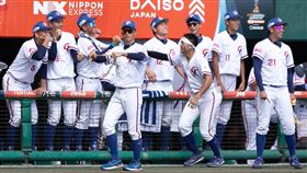 U18世界盃，台灣隊擊敗澳洲提前確定晉級。（圖／中華棒協提供）