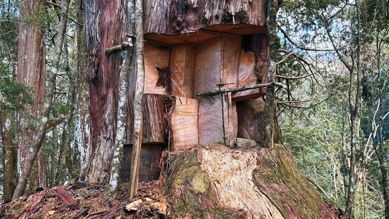 神木「只切重要部位」如被掏空內臟等死